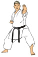 Karate Oudenaarde: karateka